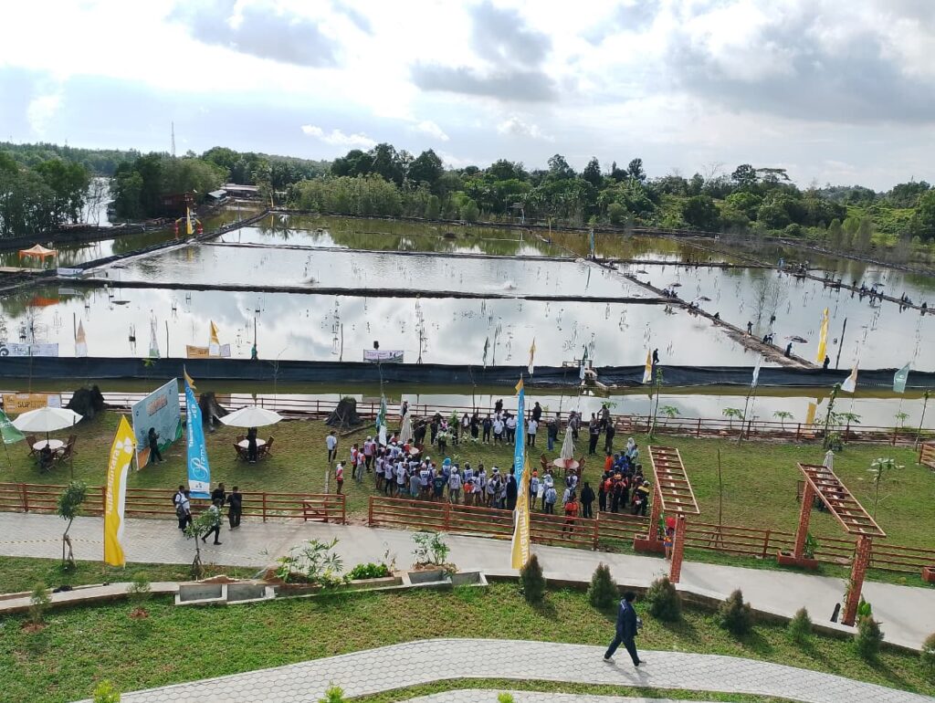 WhatsApp Image 2025-12-16 at 11.17.18