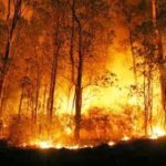 BMKG: Potensi Karhutla di Kaltara Masih Normal, Namun Perlu Diwaspadai