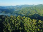 Abdunnur Targetkan Unmul Jadi Pusat Riset Hutan Tropis Indonesia, Publikasi dan Inovasi Terus Meningkat