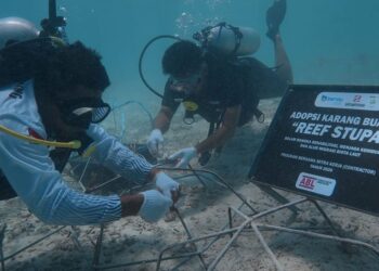 Berau Coal dan Mitra Transplantasi Terumbu Karang di Maratua