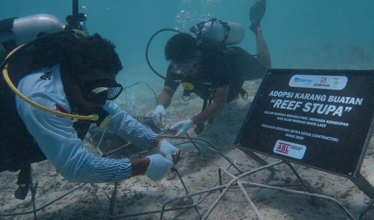 Penyelam memasang fragmen terumbu karang pada media reef stupa di perairan Pulau Maratua, Kabupaten Berau, sebagai bagian dari program rehabilitasi ekosistem laut yang diinisiasi PT Berau Coal bersama mitra. (aset Berau Coal)
