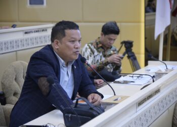 Edi Oloan Dukung Prabowo Berantas Tambang Ilegal