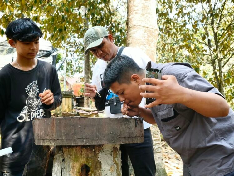 Reporter sudutkata.com (Tengah) didampingi seorang petani ternak lebah madu Kelulut mencicipi langsung rasa madu Kelulut hasil budidaya di Dusun Tani Baru, Desa Tani Harapan, Kecamatan Loa Janan, Kutai Kartanegara. (Foto: Indra/sudutkata.com)