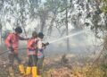 Karhutla di Lahan Gambut Pendingin Meluas, 311 Hektare Terbakar, Tim Pemadam Kesulitan Air