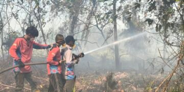 Karhutla di Lahan Gambut Pendingin Meluas, 311 Hektare Terbakar, Tim Pemadam Kesulitan Air