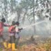 Karhutla di Lahan Gambut Pendingin Meluas, 311 Hektare Terbakar, Tim Pemadam Kesulitan Air