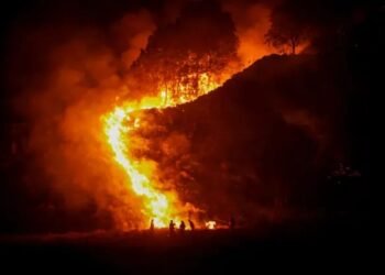 Cuaca Kering, BPBD Kutim Ingatkan Risiko Api Cepat Menjalar