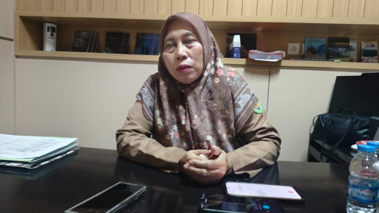 Pejabat Fungsional Analis Kebencanaan Ahli Madya BPBD Kutai Timur, Khairunnisa Nu