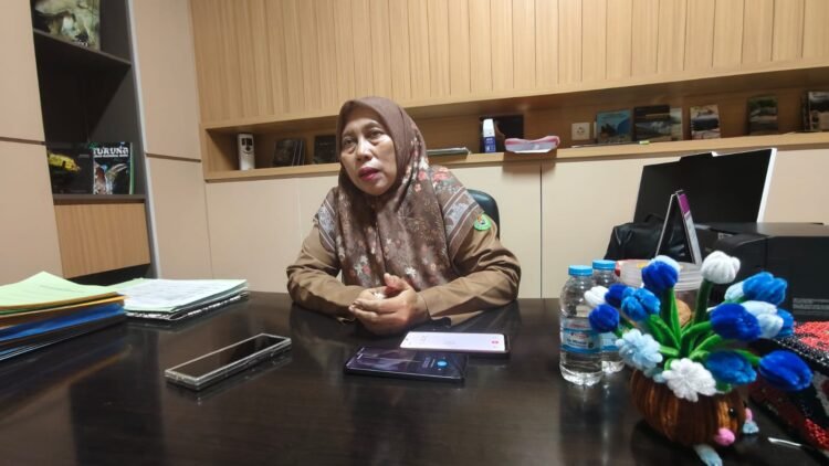 Pejabat Fungsional Analis Kebencanaan Ahli Madya BPBD Kutai Timur, Khairunnisa Nur