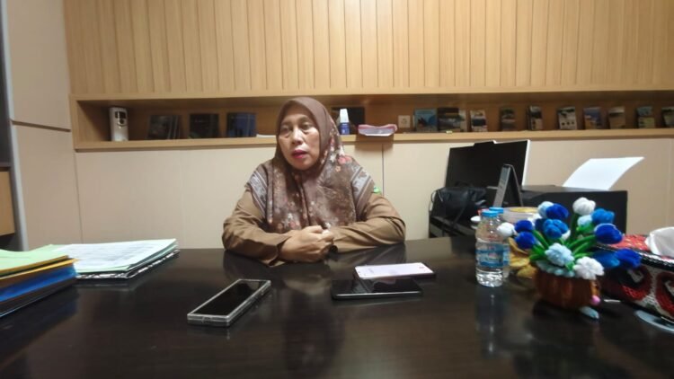 Pejabat Fungsional Analis Kebencanaan Ahli Madya BPBD Kutai Timur, Khairunnisa Nur