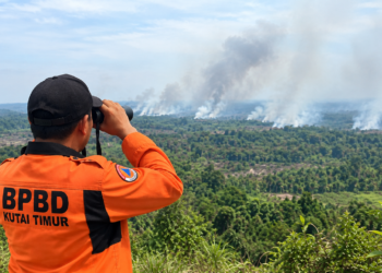Hotspot Kutim Turun Jadi 139 Titik, Hanya Tiga Kategori Tinggi