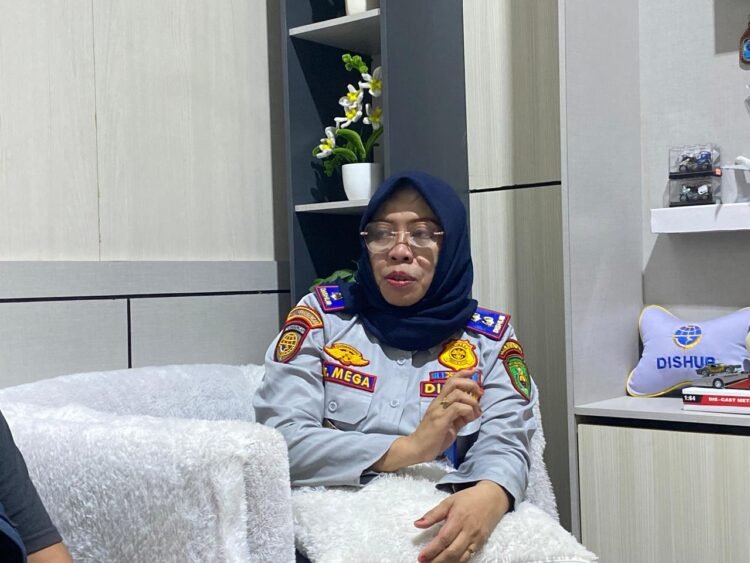 Kepala Bidang Pengembangan dan Keselamatan, Mega Pujiyanti