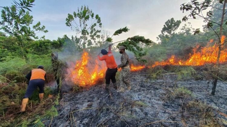 Petugas menangani kebakaran hutan dan lahan di kawasan Pelita 8, Kelurahan Pulau Atas, Kecamatan Sambutan, Samarinda, Kalimantan Timur. Kebakaran menimbulkan asap yang sempat mengganggu pengguna jalan. (Ist)